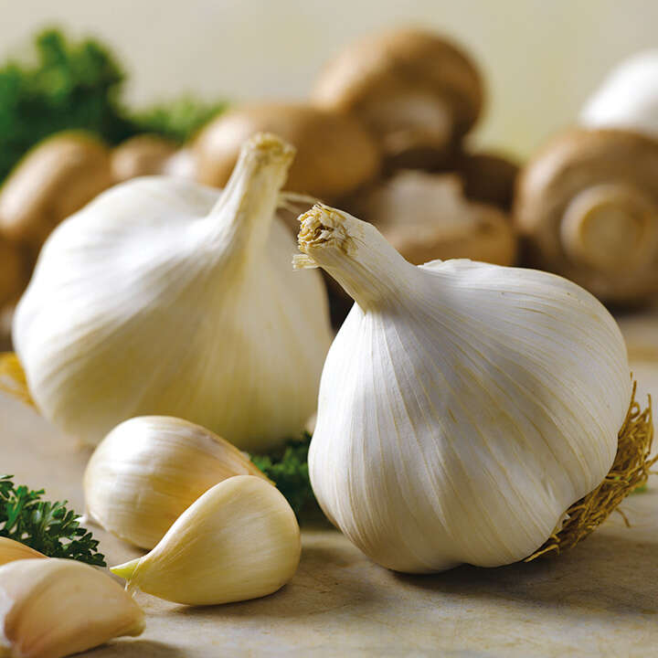 garlicbulbs-Power Food To Boost Immunity